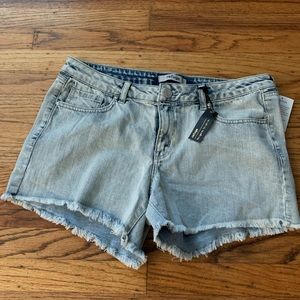 Refuge Frayed Shorts